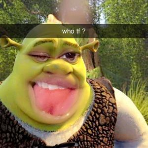 Meet your Posher, Maurissa